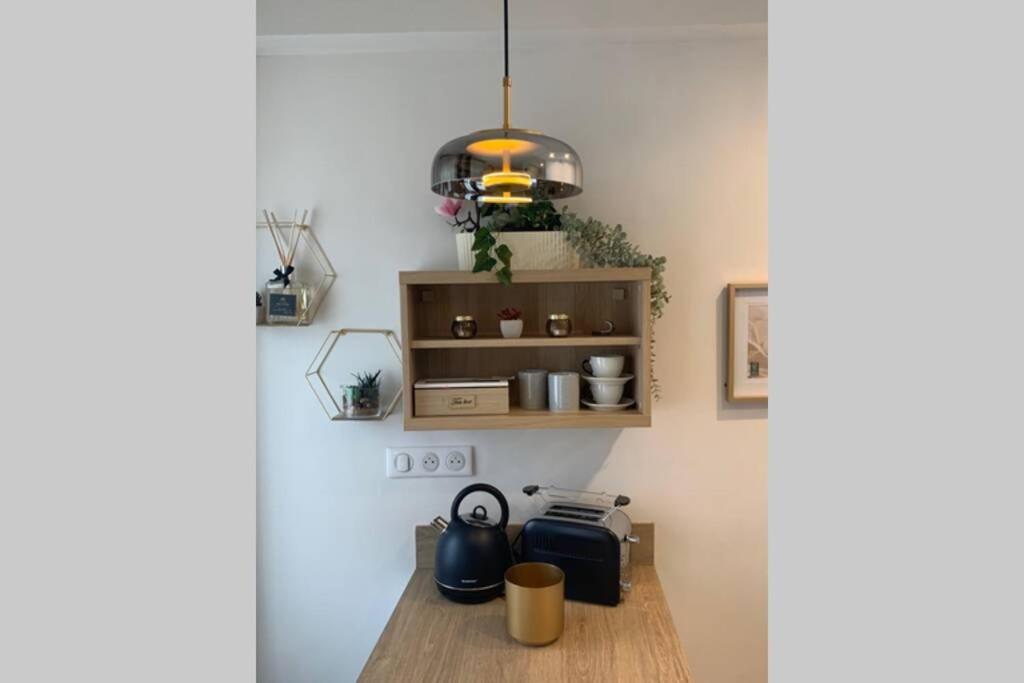 Joli Appartement Haut Standing En Hyper Centre Toulouse Luaran gambar